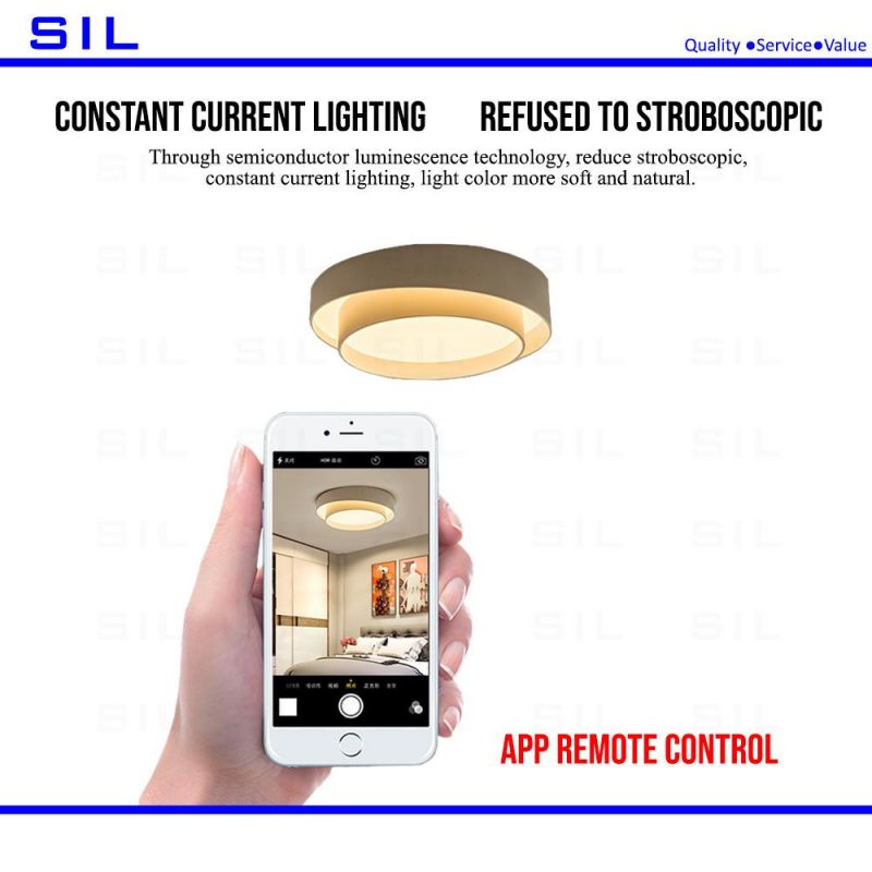 Hot Sale LED Dimmable Ceiling Lights for Living Room Surface Mount Light Lantern Ceiling Lamp 24W LED Ceiling Light