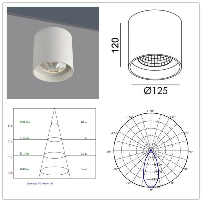 Round TUV Ce Certified Surface-Mounted COB 15W20W LED Down Light
