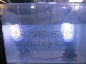 Underwater Indicator Liquid Cooled LED Bulb (U3W-WW-12-M)