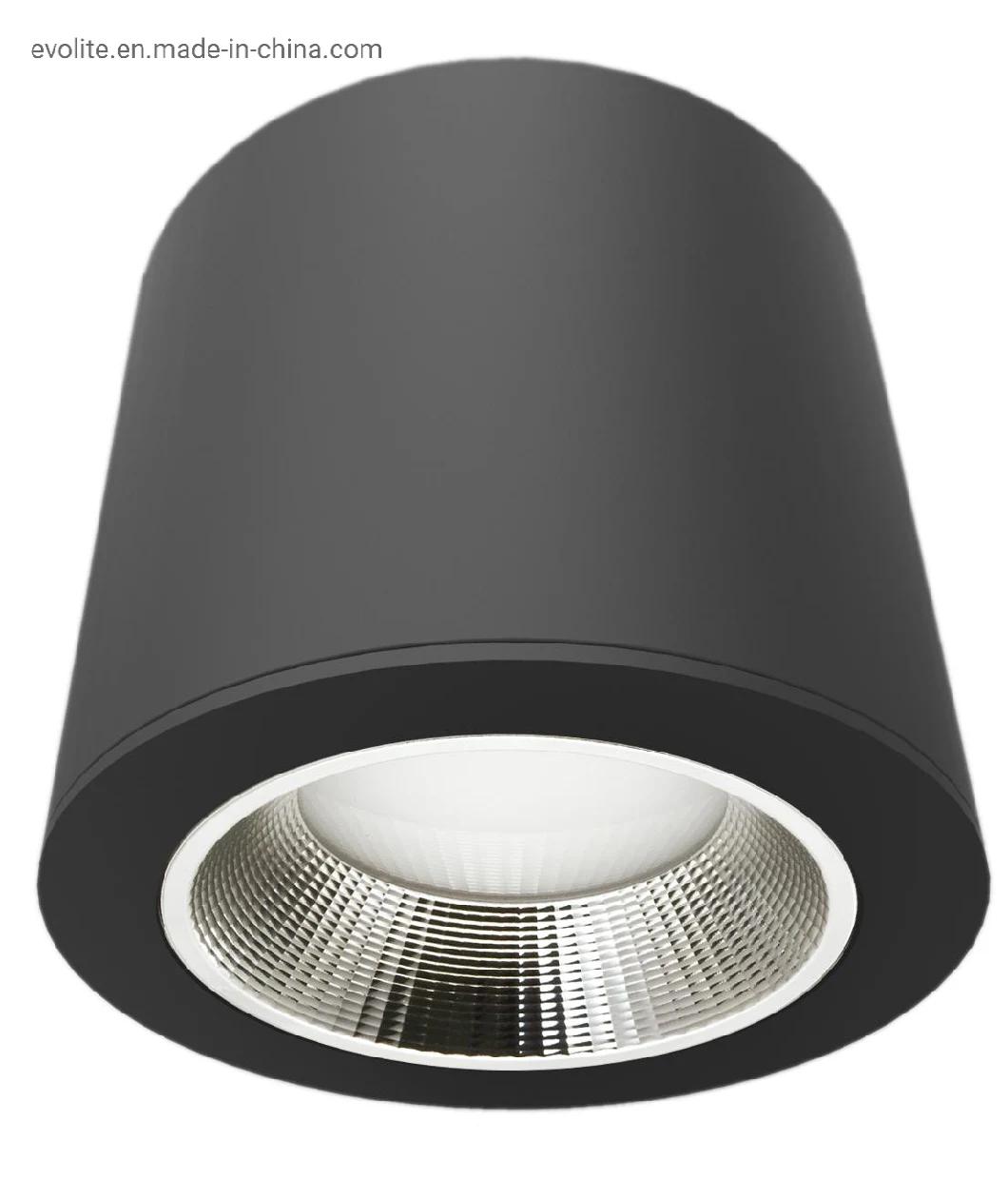Customer Order High Lumen Hotel Project LED 52W Bulb Recessed COB Spotlight Down Light