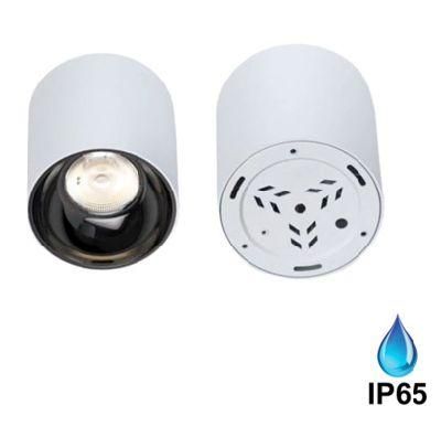 30W Ceiling Mounted Cylinder LED Down Light with IP65 Waterproof Downlight