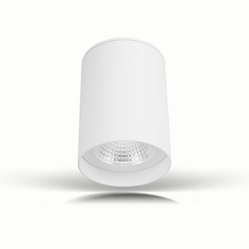 IP65 6W/10W Surface Mounted LED Downlight Round Down Light