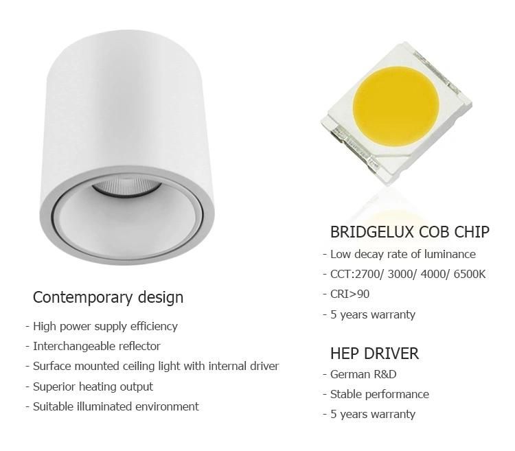 Modern Hotel Indoor 10W 12W 15W Antiglare Surface Mounted Ceilinglight