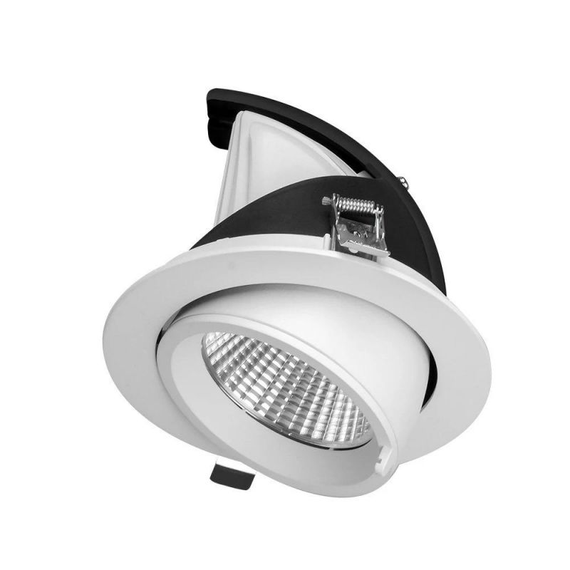 30W LED Downlight Recessed Light AC220-240V Large LED Spot Lamp for Supermarket Factory