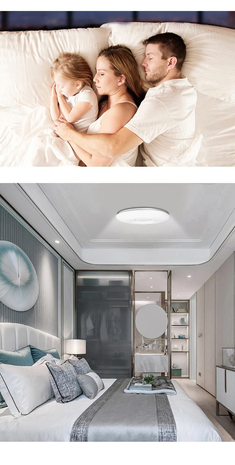 New Indoor IP65 LED Ceiling Lamp Nordic WiFi Ceiling Light