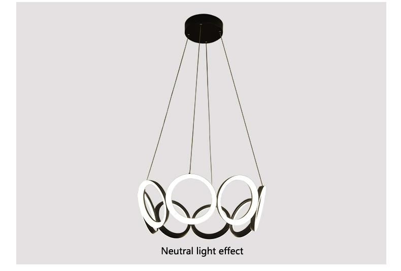 Hot Selling Indoor Modern Acrylic LED Lighting Circular Ceiling Lamp Stylish Simplicity