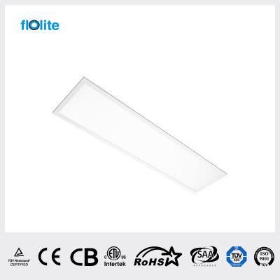 48W LED Panel Light 295*1195mm