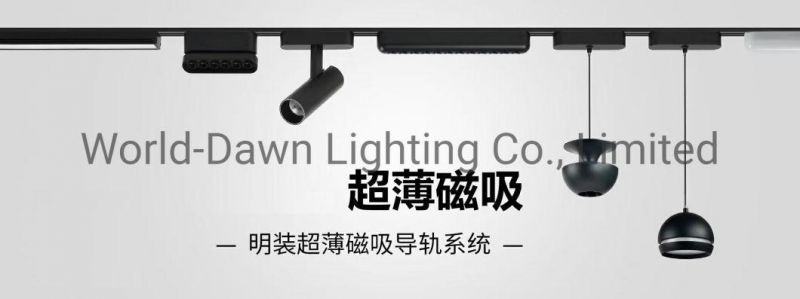 Surface Mounted Thin Type Commercial Pendant Track Lights Shop Office Using CRI95 LED Linear Ceiling Magnetic Light