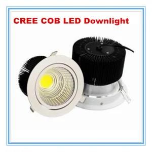 Ce SAA Lifud Driver 6inch CREE 30W COB LED Downlight