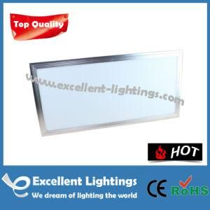 Green Healthy Environmentally Friendly Protection LED Panel 60X120