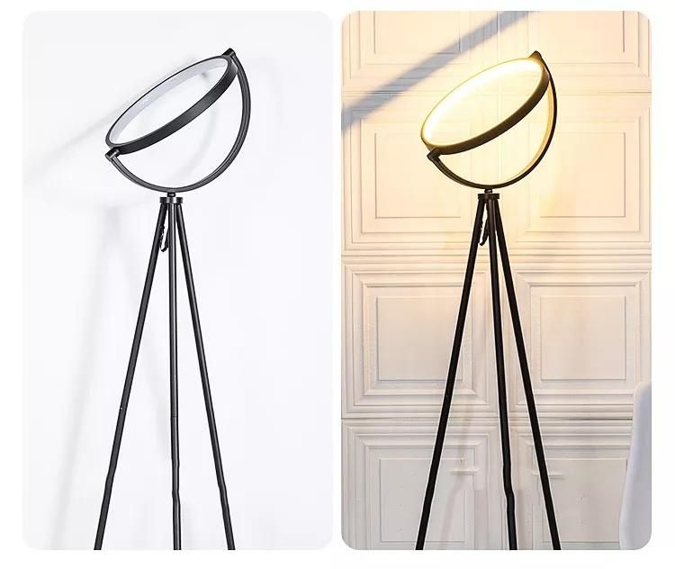 Modern Amazon Hot Selling Living Room Floor Light Decorative Circle Tripod Round LED Floor Lamp