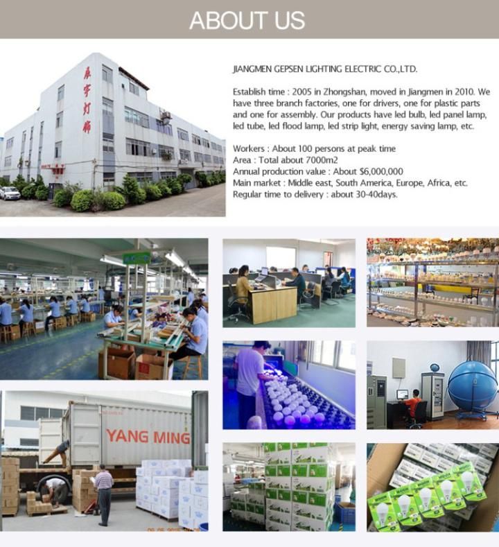 China Factory 2 Years Warranty 8000K 85-265V 5W 7W 9W 12W 15W 18W LED Bulbs Price List