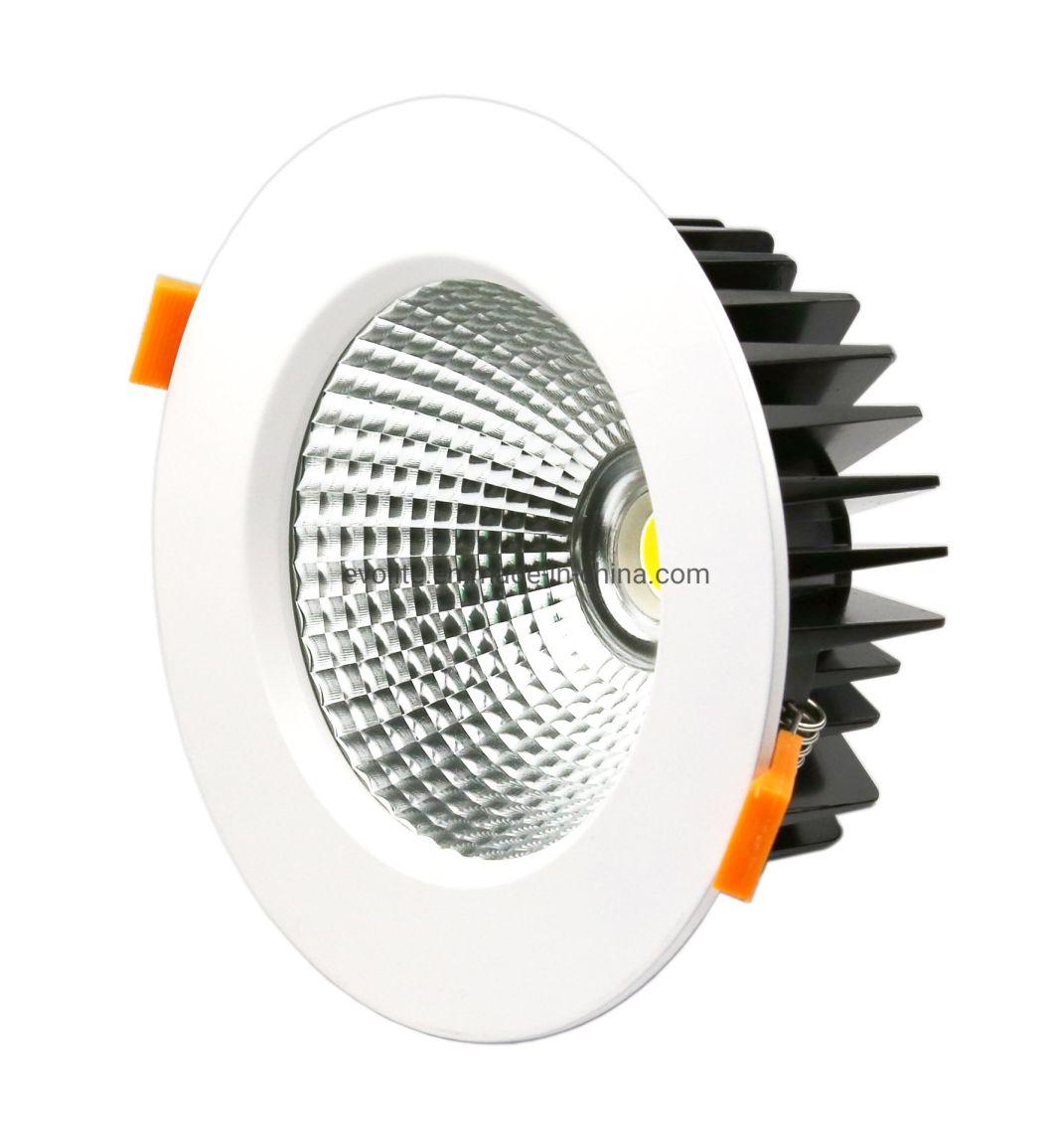 Narrow Beam Angle 10 Degree COB LED Downlight 6 Inch 175mm Cut out SAA CE RoHS Citizen COB