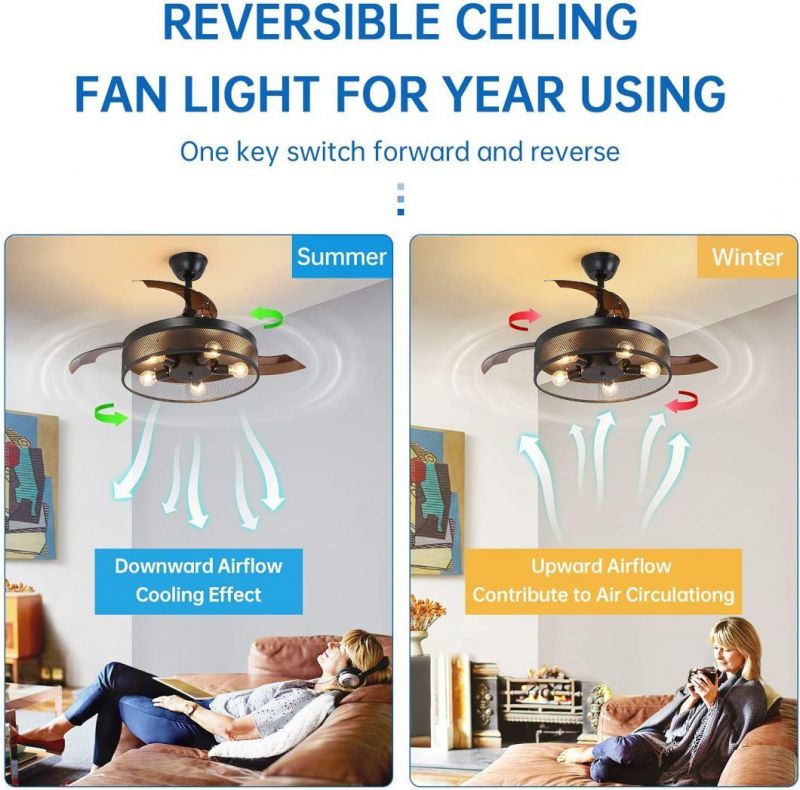 Ceiling Fan Metal Element Acrylic Popular Blades Invisible Ceiling Fan with Lights and Remote Control