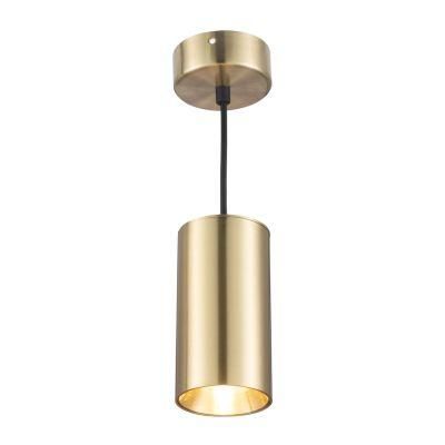 Modern Style Golden 28W Pendant Light for Shop Hotel 3 Years Warranty