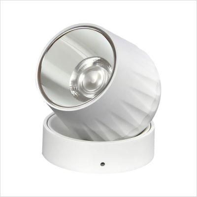 15W OEM Customized Rotatable Ceiling LED Light Surface Mounted Round LED Downlight