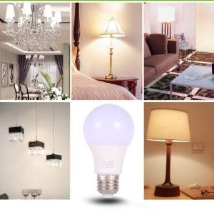 LED Lights Bulbs 3W to 24W 200lumen to 2600lumen E14 E27 B22 LED Bulb