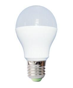 7W LED Bulb Lighting with High Lumen (QP-31207)
