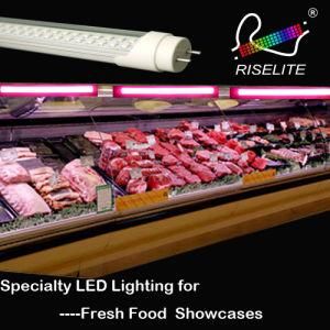 ETL cETL T8 120cm 18W SMD3528 LED Light Fluorescent Tube T8