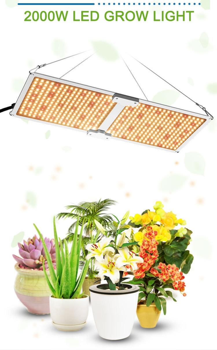 200 Watt Quantum Panel LED Grow Light Lm301h for Indoor Plants