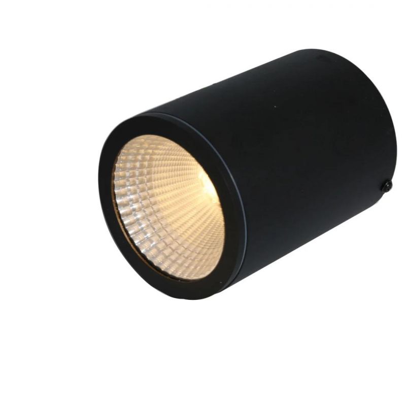 Aluminum Outdoor Ceiling Spotlight LED 12W COB Down Light Waterproof LED Ceiling Light