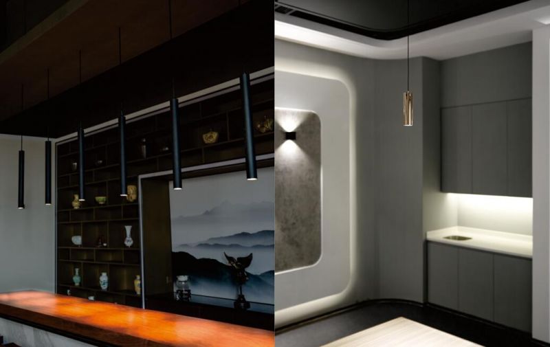 P6017 Pendant LED Downlight Decorative Spotlight LED Light Pendant Lights