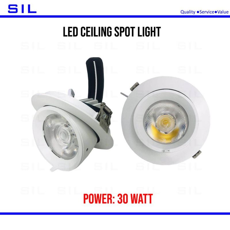 30W COB LED Gimbal Adjustable Recessed Downlight Trunk Light Ceiling Spot Lighting Recessed Downlight
