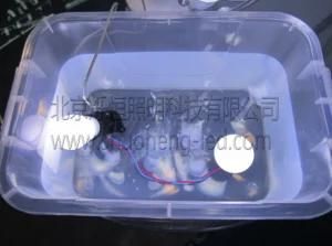 Underwater Indicator Liquid Cooled LED Lamp (U3W-CW-12-M)