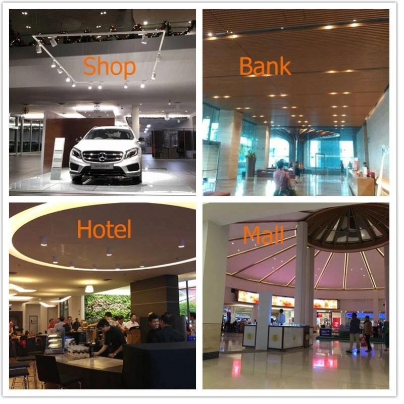 Venezina LED Downlight LED Light R6153 6W/10W LED Ceiling Light LED Spot Light LED Light LED Down Light