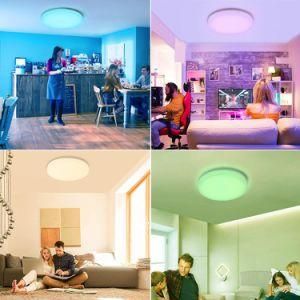 Smart Ceiling Light with Adjustable Color and Brightness