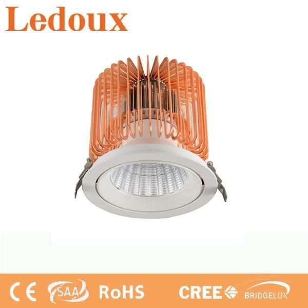 60W 4800lm Small Size & Cut-out New Tech 2022 Indoor Professional Lighting Hotel High Lobby Ceiling Light Down Light