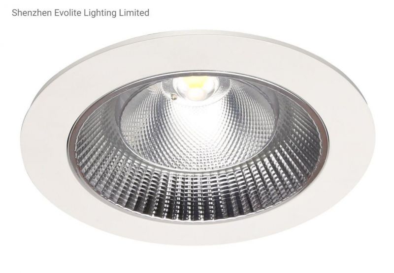 High Power Chinese Factory Super Hot Sale LED Spotlight 100W Indoor Recessed COB Down Light