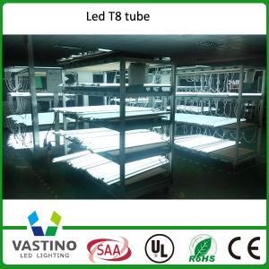 Pretty Good Quallity 3years Ganrantee TUV-CE LED Tube 8 Light