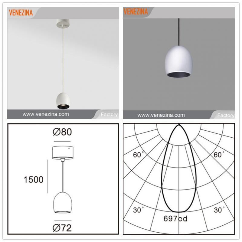 Pure Aluminum Honey Comb Popular Design LED Source Pendant Downlight