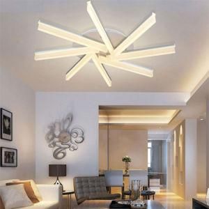 Design LED Ceiling Light for Living Room Bedsroom Indoor Lighting