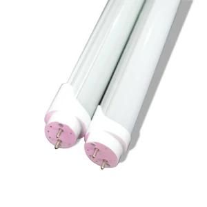 2ft T8 LED Tube Lights, Pure White T8 LED Tube