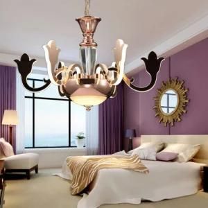 High Quality Modern Chandelier Pendant Lamp for Home