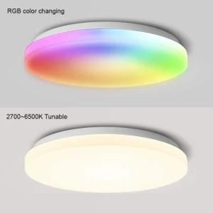 Surface Mounted LED Ceiling Lights WiFi Alexa Voice Control Modern Bedroom 30W RGB + 2700~6500K Tunable