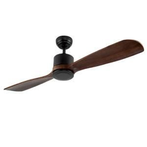 Modern Simple Style 2 Blades Ceiling Fan Light DC Motor Control Remote Wood Ceiling Fan with Light