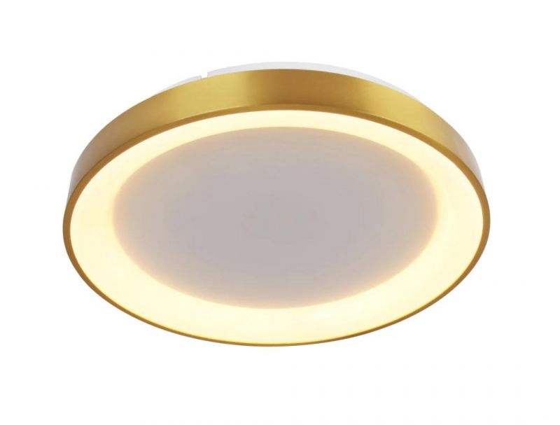 Masivel Factory 36W/48W/60W/80W/100W New Design Bedroom Ceiling Mounted LED Ceiling Light with Spangle