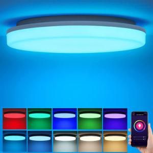 30W Dimmable Smart Ceiling Light