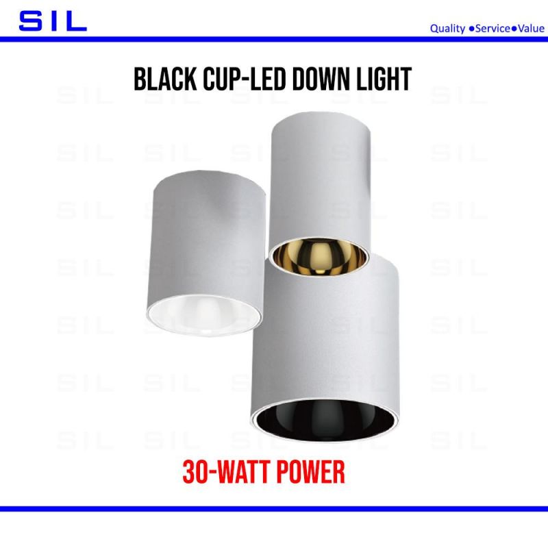 15W Waterproof Surface Mounted Downlight Square Down Light Black White Aluminum Spot Light for Hallway Corridor Gallery