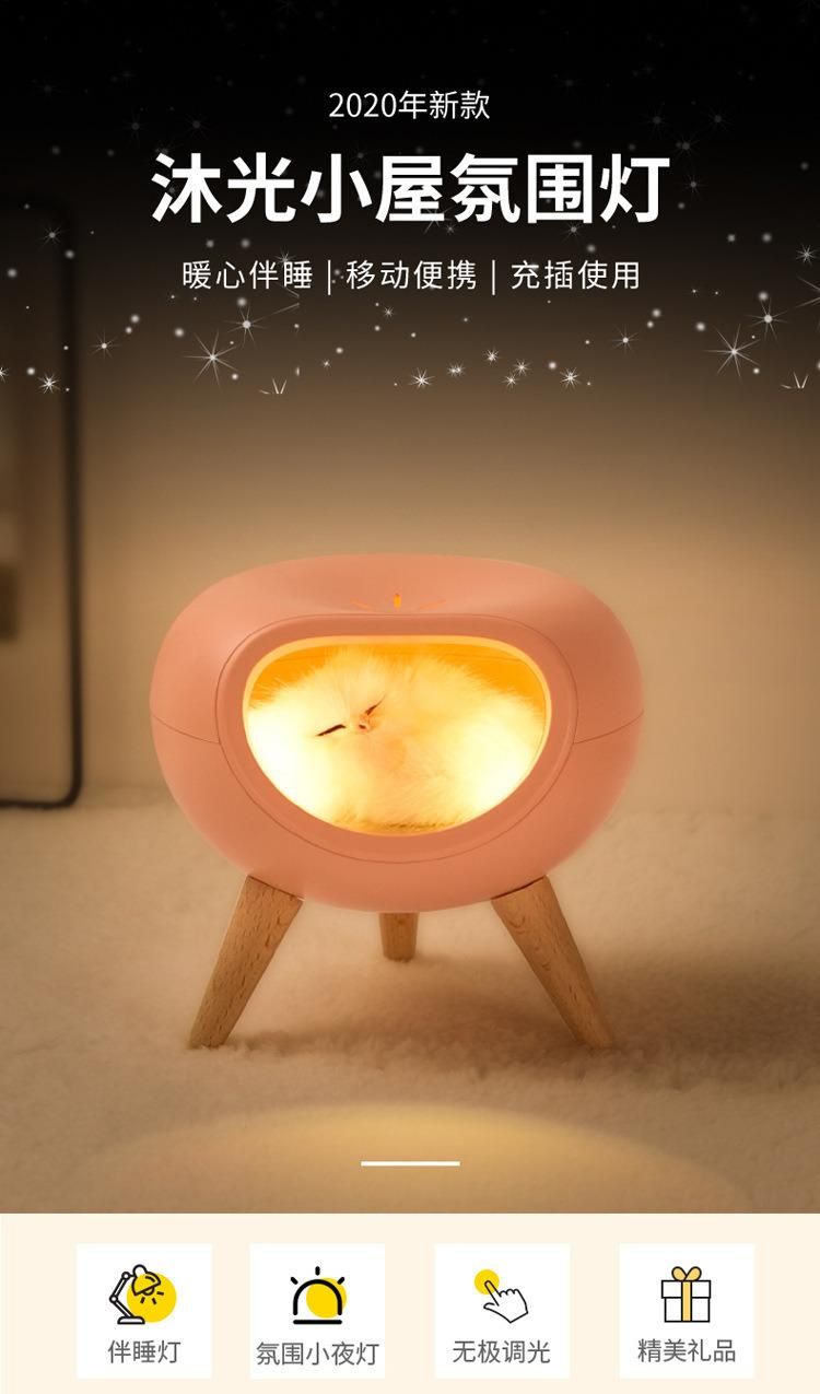 USB Creative Lamp Sleep Light Dream Night Light