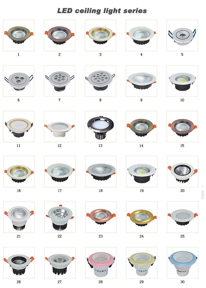 Round 6W 9W 12W 18W LED Ceiling Light with Ce RoHS