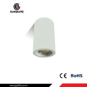 European Design Round LED Plaster Ceiling Light Gqp2024