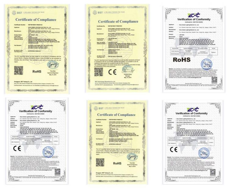 Larger Filament Chip, Higher Efficiency 3000K/4000K/6500K Glass Cover + LED Filament Flame Filament Lamps