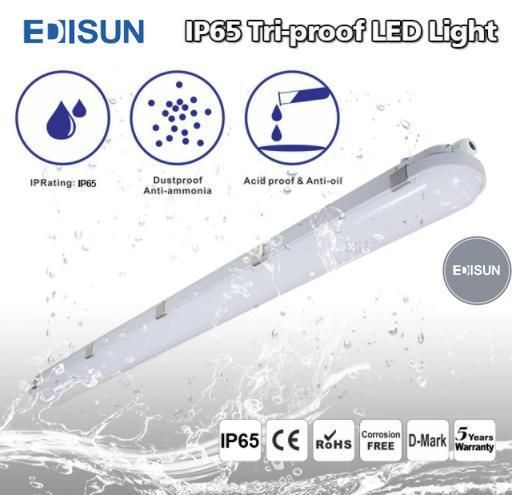 IP66 Waterproof Dust-Proof LED Project Light 40W 1.2m Tri-Proof Light
