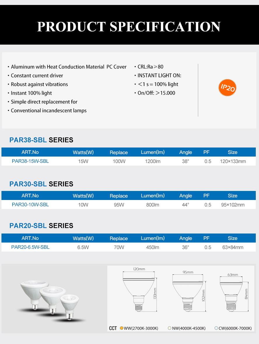 PAR30 LED Bulb