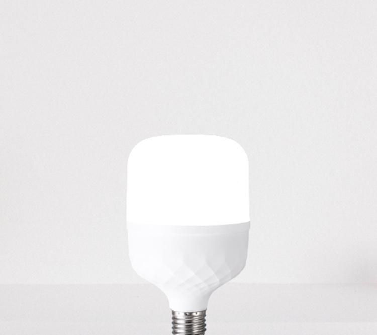 OEM 10000K Snow White Plastic T LED Lamp Lighting 30W 40W LED Bulb E27