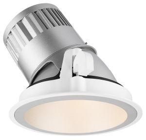 7W/10W/15W/20W/30W LED Down Light for Hotel Lobby (R3B0371)